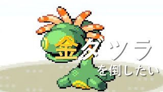【ポケモンエメラルド】金ダツラ倒す【6日目】