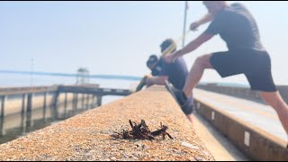 Deal With Me Music Video