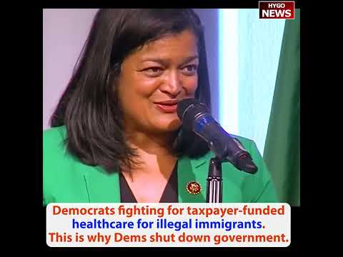Dems fighting for taxpayer-funded healthcare for illegal immigrants. This is why Dems shut down govt