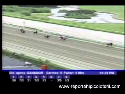 Resumen Domingo 21 de Agosto 2011 - La Rinconada