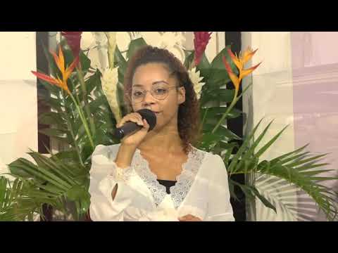 Si je parlais le plus parfait langage - Julie et Jennie(cover)