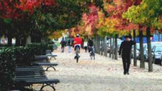 samba triste, stan getz