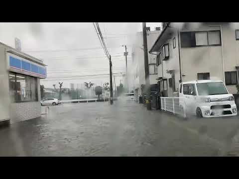 プールの水の凍結を防ぐにはどうすればいいですか？晴れの日を待つ間の2つの簡単な解決策!  庭園