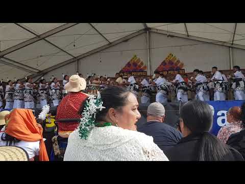 Wesley college Lakalaka polyfest 2019