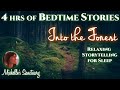 4 HRS Continuous Relaxing Stories for Sleep | INTO THE FOREST | Cozy Bedtime Stories for Grown-Ups