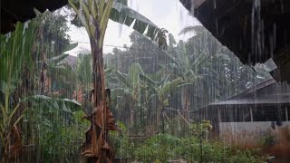 Download lagu Heavy Rain and Strong Winds Create a Comfortable Atmosphere for Rest | Heavy Rain Relaxation mp3