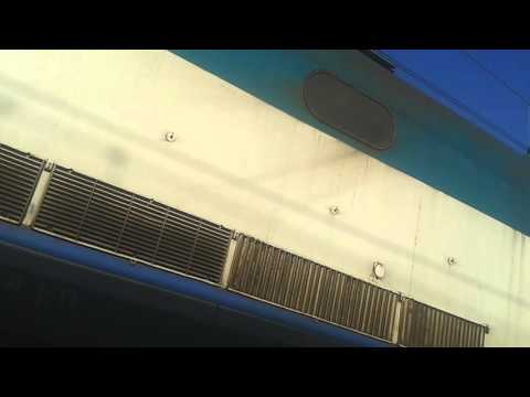 EC thello con la tartaruga E444 084