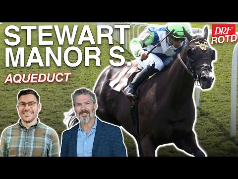Stewart Manor Stakes | DRF Friday Race of the Day | November 7, 2025