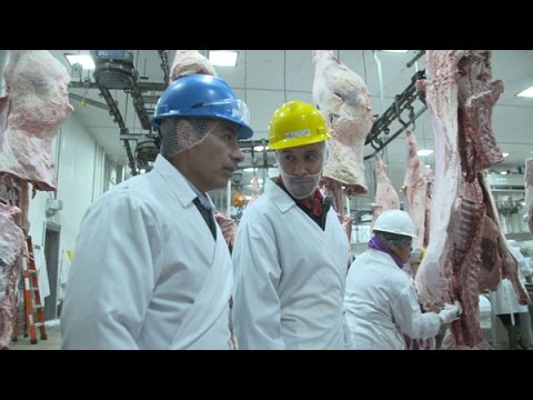 Washington Grown: Inside a Beef Slaughter Facility