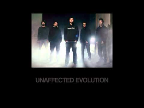 UNAFFECTED EVOLUTION - Monkey World