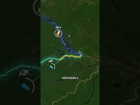 The meeting of the waters is one of the most impressive landscapes in Brazil. #maps #manaus #shorts