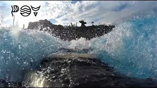 Body surfing Typhoon Lagoon's wave pool🌊