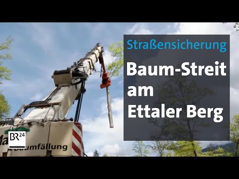Ettaler Berg: Tree felling to secure roads | Evening News | BR24