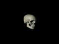 Bad To The Bone Low Quality