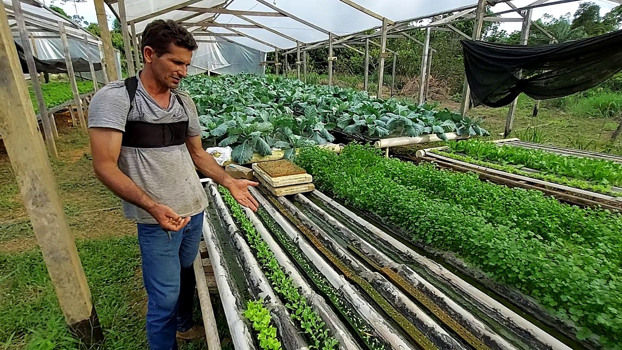 como montar uma banca de hidroponia!