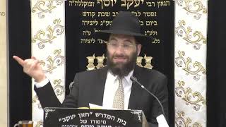 הרב משה יוסף  • האם צריך לכסות את התפילין של יד בשעת הנחתן {שיעור קצר}