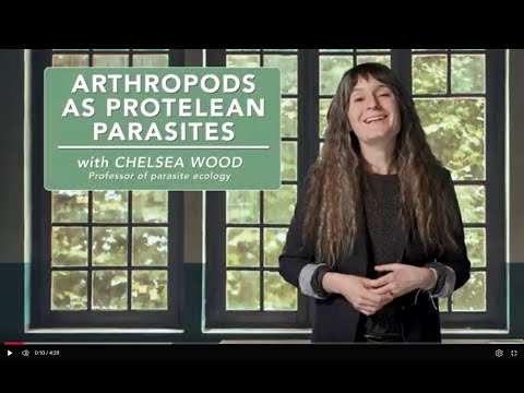 Arthropods as Protelean parasites