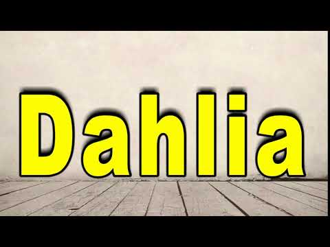 How to Pronounce Dahlia