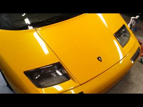 Bajo el Lamborghini: ¡el campeón del escondite!