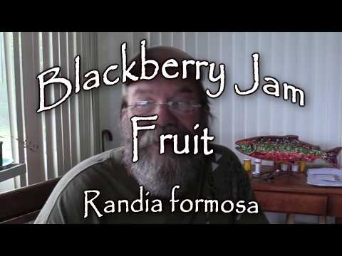Blackberry Jam Fruit
