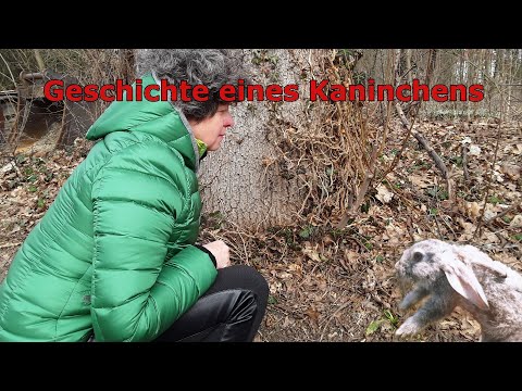 Geschichte eines Kaninchens,  Text: Tatiana Ilchenko, Naturschutzgebiet Rehmer Feld, Hannover