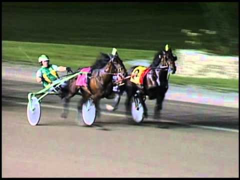 2012 O'Brien Award Nominees - Two-Year-Old Trotting Colts