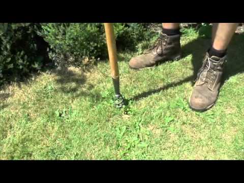 How to remove deep rooted weeds with a corkscrew weeder
