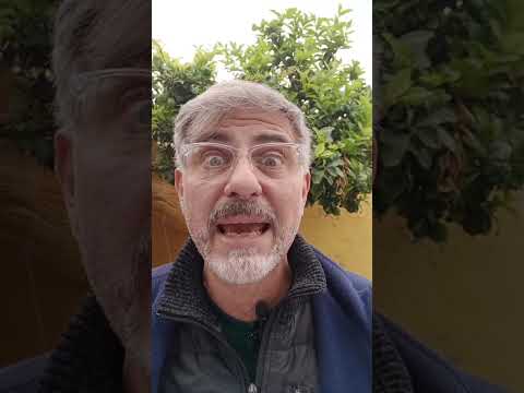 Evangelio del Nuestro Señor Jesucristo Con el Padre Fabian Esteban Oliva. 04/06/26