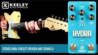 Video thumbnail for Keeley Hydra Tremolo Reverb by Mike Hermans