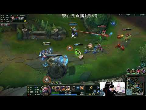 🔴 14 Fiora Alista Support 1300 LP - 14Fiora Stream