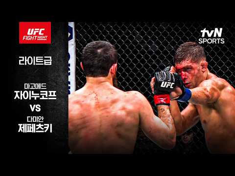 마고메드 자이누코프 VS 다미안 제페츠키 UFC 하이라이트
