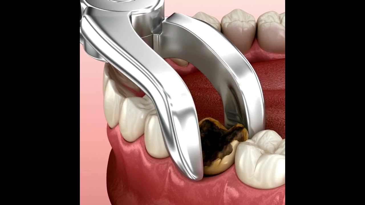 Lorena Reyes Nava-21