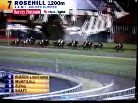 2007 Golden Slipper
