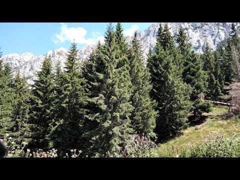 popas spre Piatra Craiului