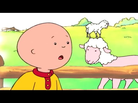Caillou and the Sheep | Caillou Cartoon