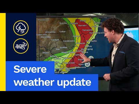 Severe Weather Update 15 January 2026: Severe storms, rain and wind for the south-east