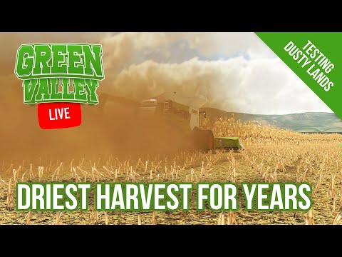 🔴 Green Valley LIVE - Corn Harvest with Dusty Lands - Episode 13 - FS22