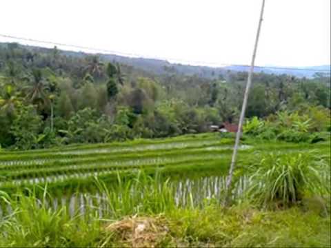 Tresna Gunung Sari-dwi negari