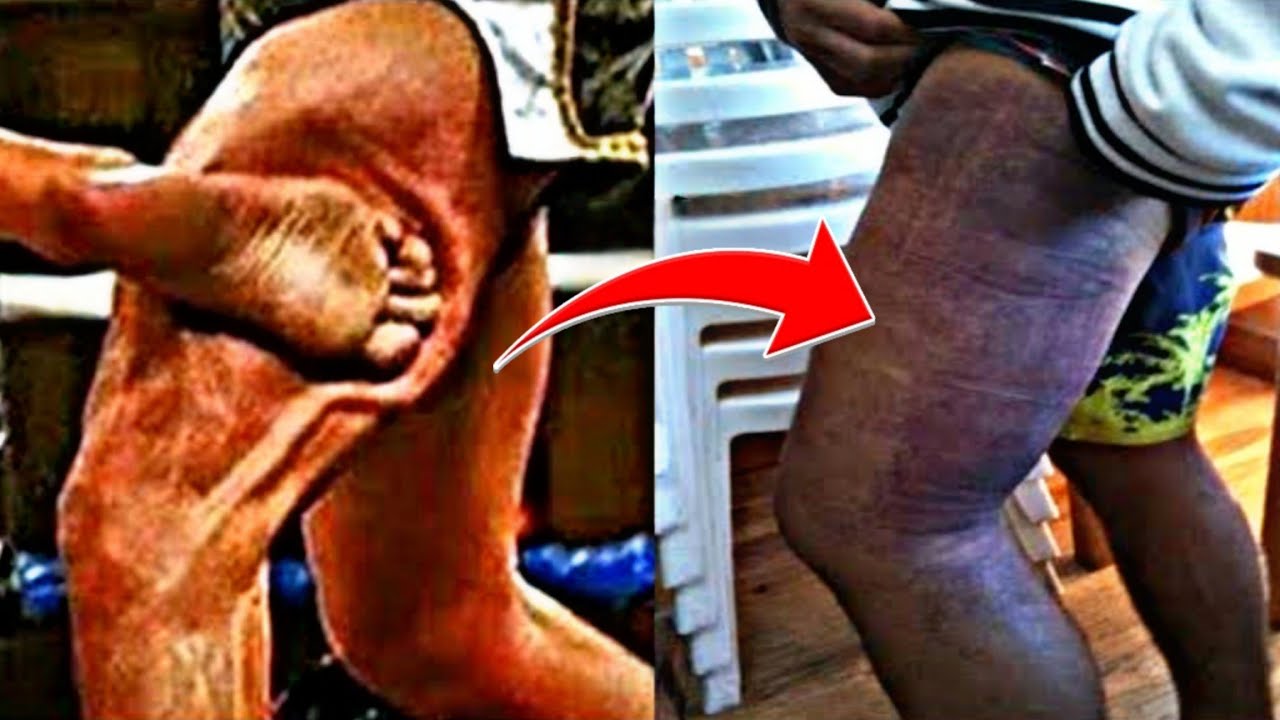 Pernas destruídas.. Os Low Kicks mais DEVASTADORES da história (VOL.1)