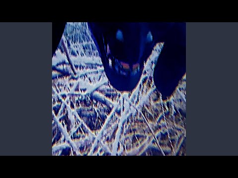 Shinjitsu (feat. soap.)