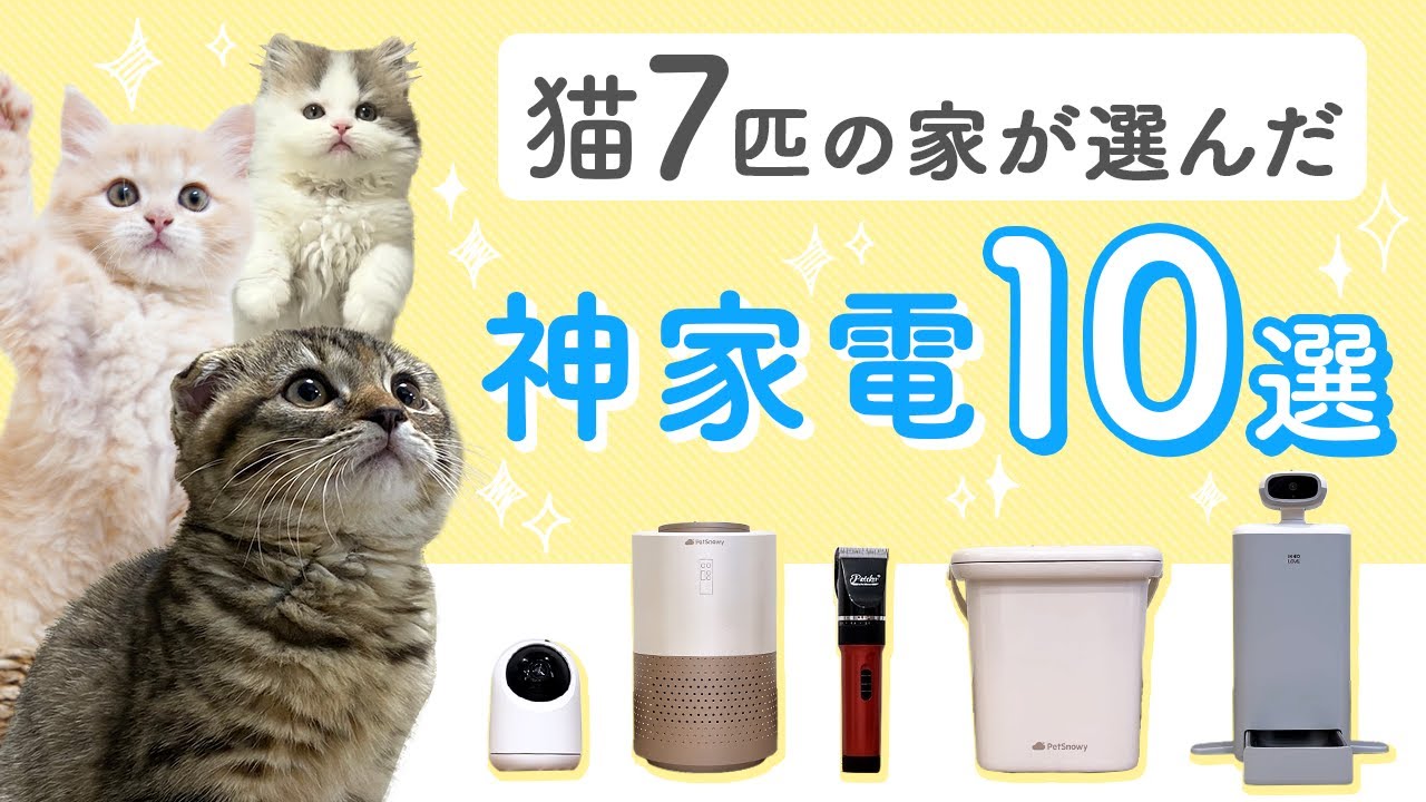 猫7匹と暮らしてわかった！本当に役立つ便利家電10選