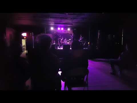 SLAP - All The Trees Are Dead In February (Live @ Basement Transmissions 12/15/17)