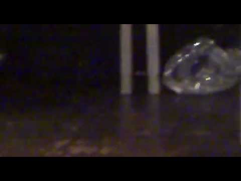 Dennis Alcapone and Winston Reedy in Tivoli - August 6th