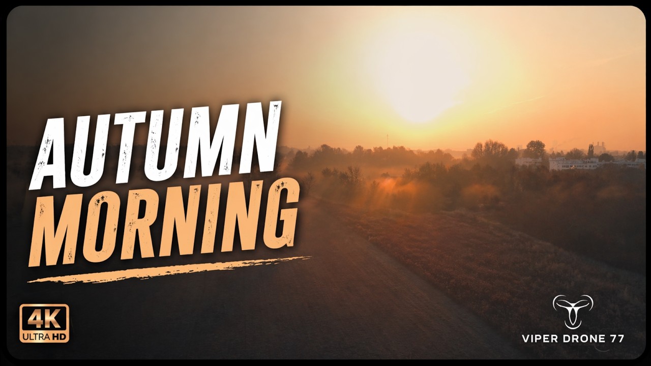 Autumn Morning