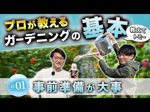 トールアゲナについて詳しく解説