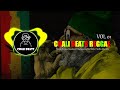 CHALI BEATS REGGAE VOL 01 CHALI BEATS