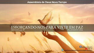 ESFORÇANDO-NOS PARA VIVER EM PAZ