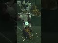 BOTW Insane Flurry Rush Combo against my first Silver Lynel for some DLC armor