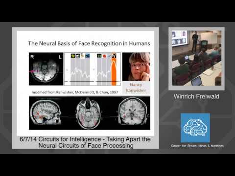 6/7/14 Circuits for Intelligence - Winrich Freiwald: Neural Circuits of Face Processing