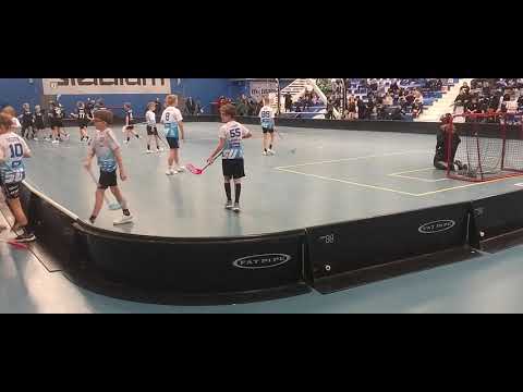 ErVi valkoinen-Fosu p13 hfc 4.1